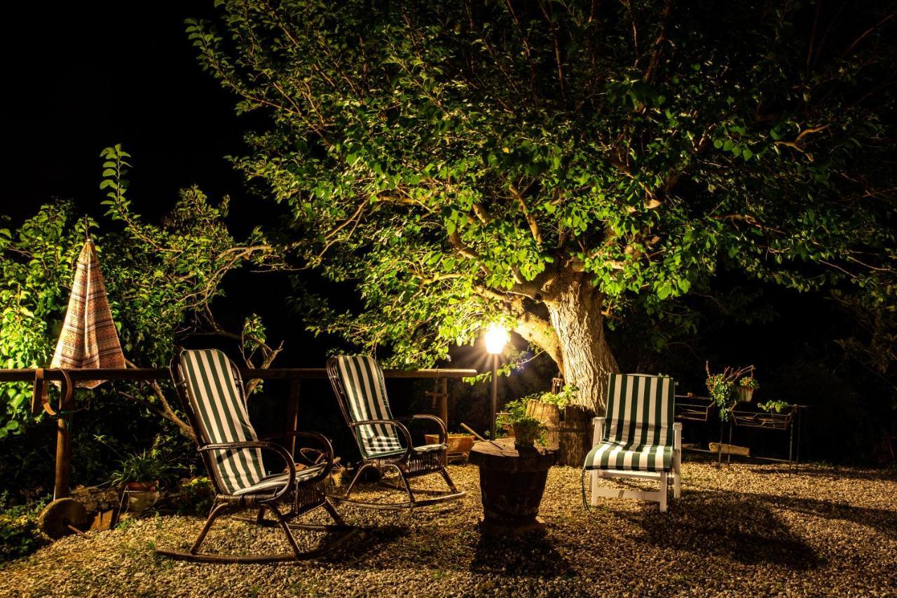 Casale San Martino Bed & Breakfast Laureana Cilento Dış mekan fotoğraf