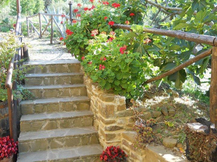 Casale San Martino Bed & Breakfast Laureana Cilento Dış mekan fotoğraf