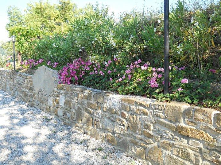 Casale San Martino Bed & Breakfast Laureana Cilento Dış mekan fotoğraf