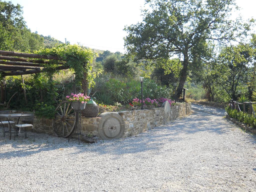 Casale San Martino Bed & Breakfast Laureana Cilento Dış mekan fotoğraf