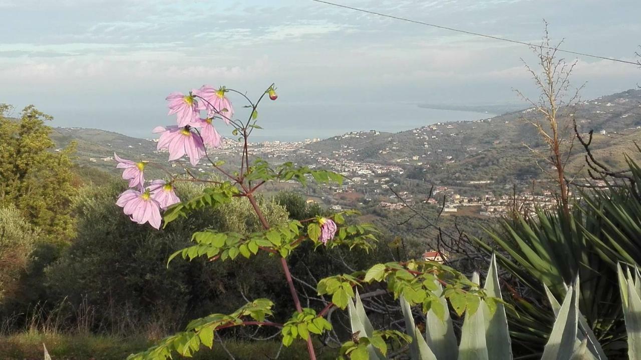 Casale San Martino Bed & Breakfast Laureana Cilento Dış mekan fotoğraf