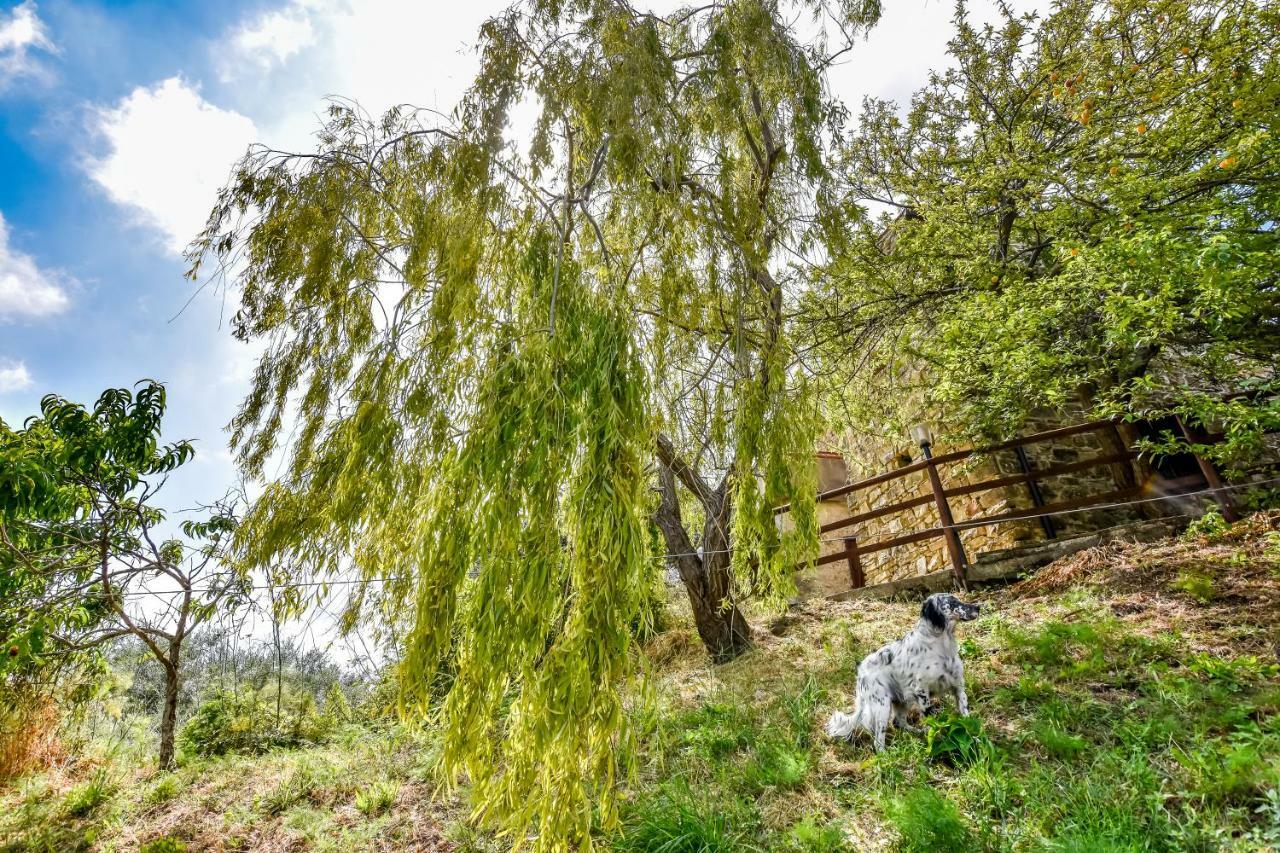 Casale San Martino Bed & Breakfast Laureana Cilento Dış mekan fotoğraf