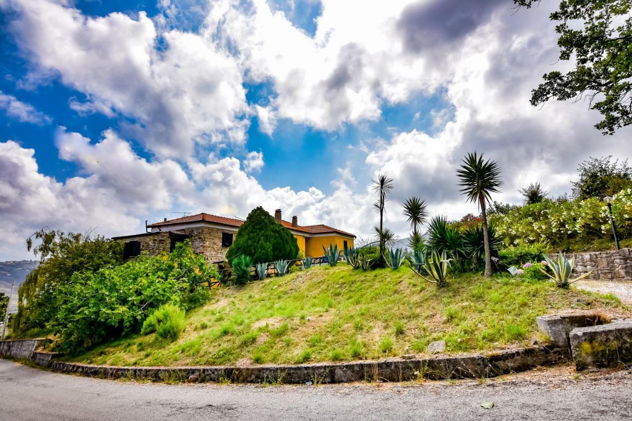 Casale San Martino Bed & Breakfast Laureana Cilento Dış mekan fotoğraf