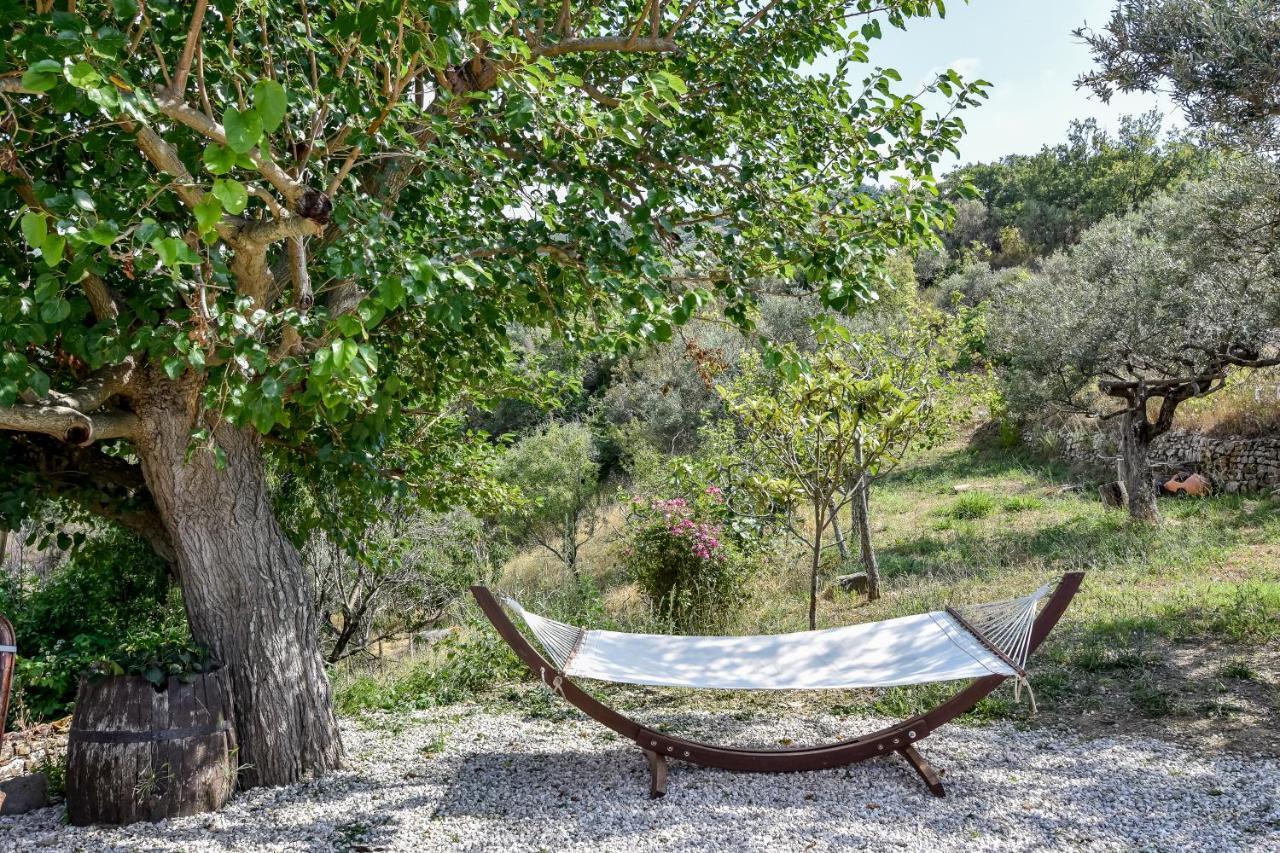 Casale San Martino Bed & Breakfast Laureana Cilento Dış mekan fotoğraf